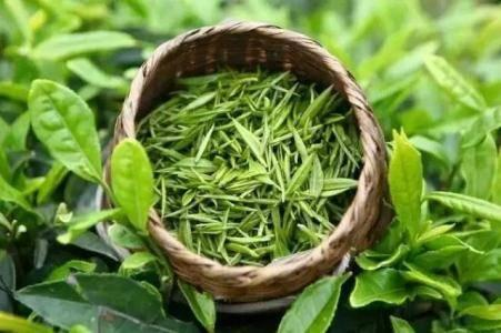 富硒綠茶的鑒別方法