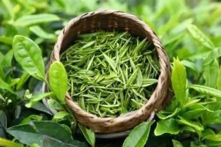 富硒茶 富硒茶
