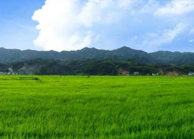 富硒農(nóng)產(chǎn)品 健康你我他