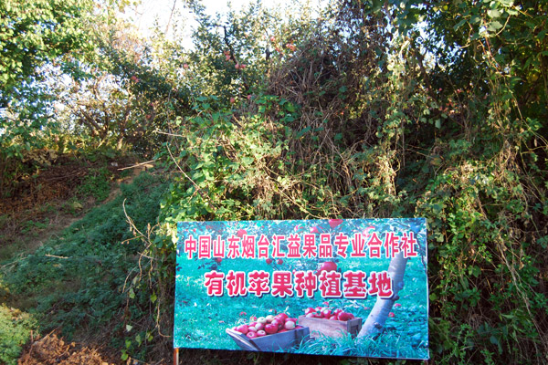 山東煙臺(tái)富硒蘋果的硒含量是多少